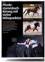 Pferd + Sport Aktuell Bericht S 1