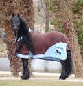 Filou 2010
